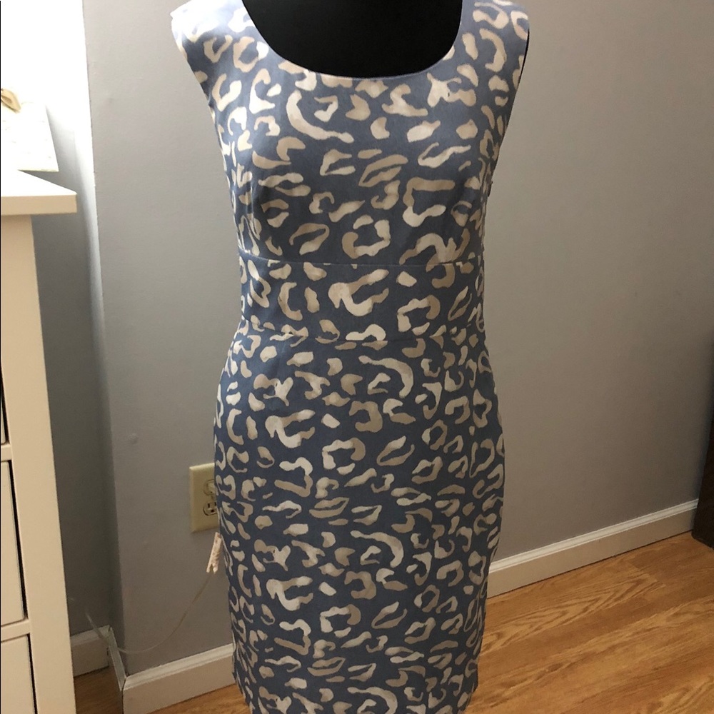 Women’s Dress